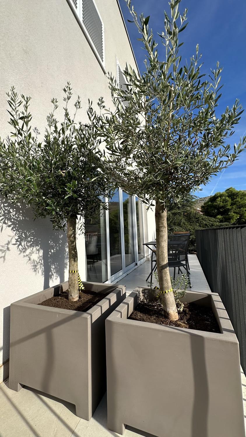 Arte Oliva Bed & Breakfast Grebastica Bagian luar foto